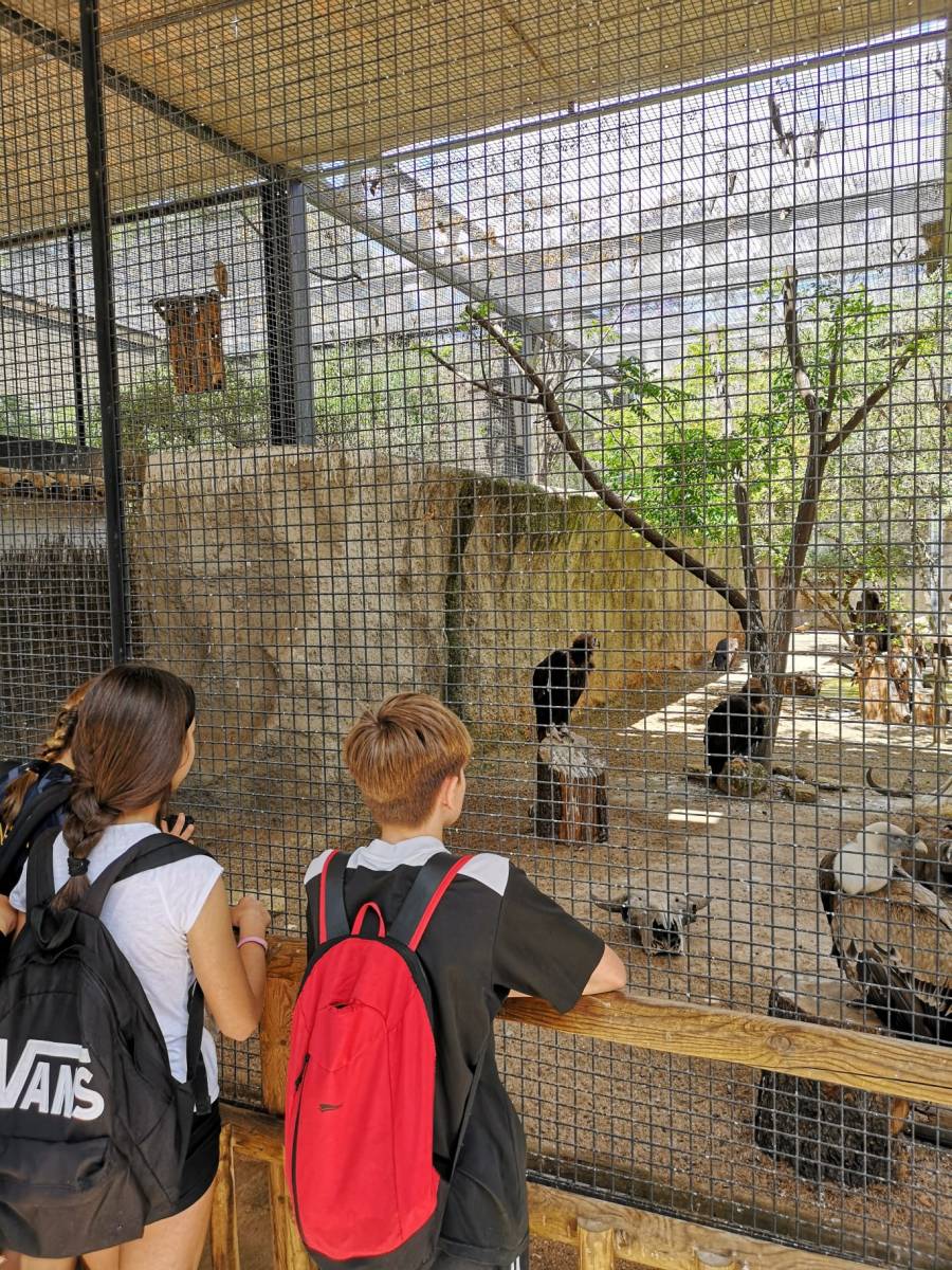 Visita al Zoológico y al Jardín Botánico de Córdoba